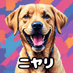 ラブラドールレトリバーの豊かな表情