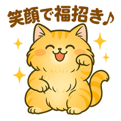 ラッキーアクションにゃんこ