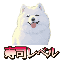 犬味　寿司レベル