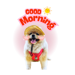 Fullmoon&Tung_20251003215907