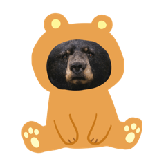 ワイルド熊スタンプ
