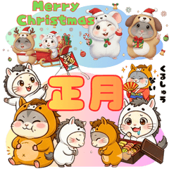 ジューク&モッチ クリスマス♡正月