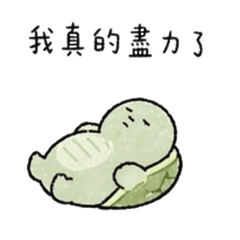 KKm.Slow Turtle
