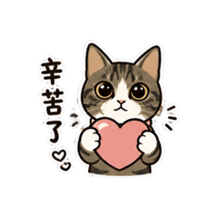 WZY_20260502000653