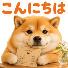 飛び出す♡ぽちゃ柴犬