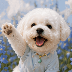 Maltese puppy Yuki flower daily