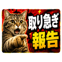 写真風ねこ 緊急リアクション2スタンプ