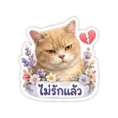 Thitirat_20260430145649