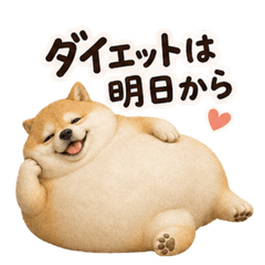 ダイエット柴