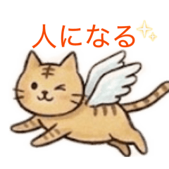 まいにちねこ暮らし