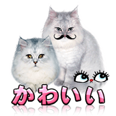 かわいい (KAWAI Double Cats)