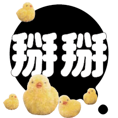 CUTE Chick Bird conversationexpression12