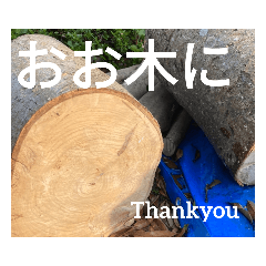 関西弁で喋る木の写真スタンプ