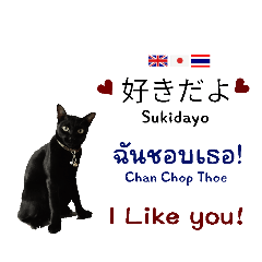 Thai+Japan+English. Cat2