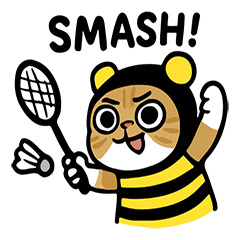 Fuji Fiji Cat with daily badminton