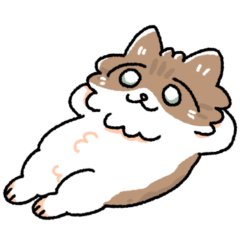 我が家の猫メルちゃん3