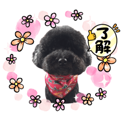 びっくくんとべるちゃん