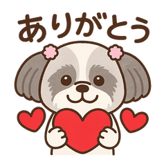 Pomu-chan the Shih Tzu