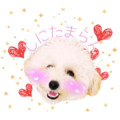 るるとしゃべる沖縄ことば