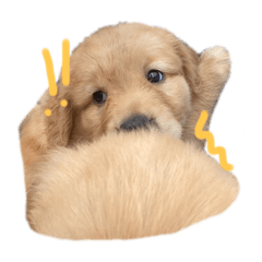 MrChesseCake_20250815170620