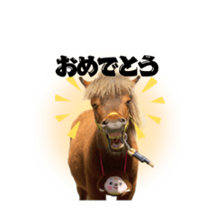 つみきの大冒険TV〜パート2〜