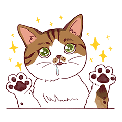 A bowl of Sugar, Jelly and Mimi 1