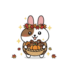 【うさちゃみシリーズ】★秋バージョン★