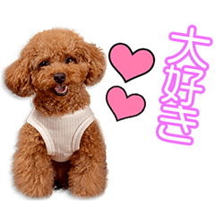 竹川家のもなかちゃん