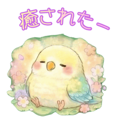 かわいい元気なインコのスタンプ