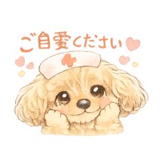 わたしのちゃちゃまる2。