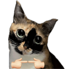 Strawberry Mochi Cat ver.2