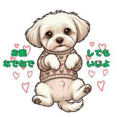 優しいモモの毎日2〜もっと私をみて〜