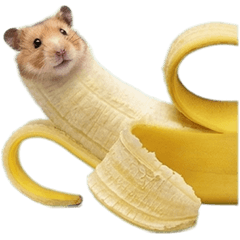 バナナハムスター！