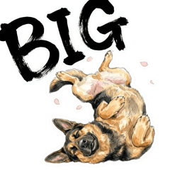 BIGなシェパードと過ごす大人の日常