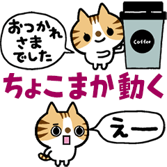ちょこまか動く！トラねこちゃん