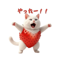 イチゴな猫の日常スタンプ