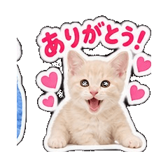 Cute Moco Stickers