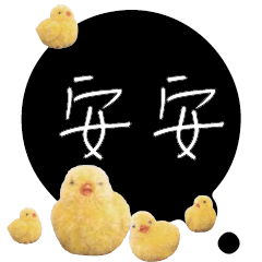 CUTE Chick Bird conversationexpression10