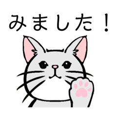 猫の会話(日常会話②)