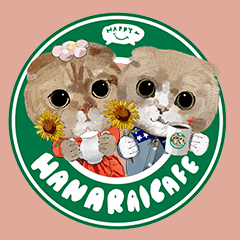 hanarai hanacafebu