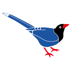 The Taiwan blue magpie