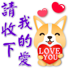 Cute corgi--please accept my love