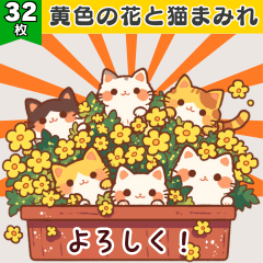 黄色の花と猫まみれ