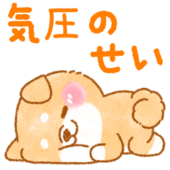 雨,梅雨,台風の時に使う❤️いやしばいぬ❤️