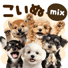 こいぬmix