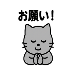 Chatty Worksite Cats