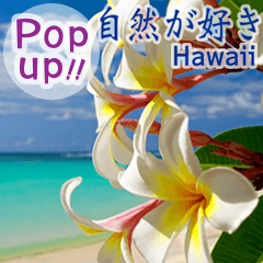 飛び出すハワイ✨▶︎自然が好き--Hawaii--