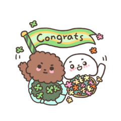 I am a Maltese - Judy