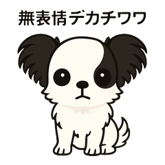 毎日使える♡無表情チワワの日常