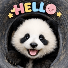 飛び出す♡まいにちパンダ